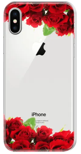 CAPINHA MOLDURAS ROSAS VERMELHAS (COM NOME)