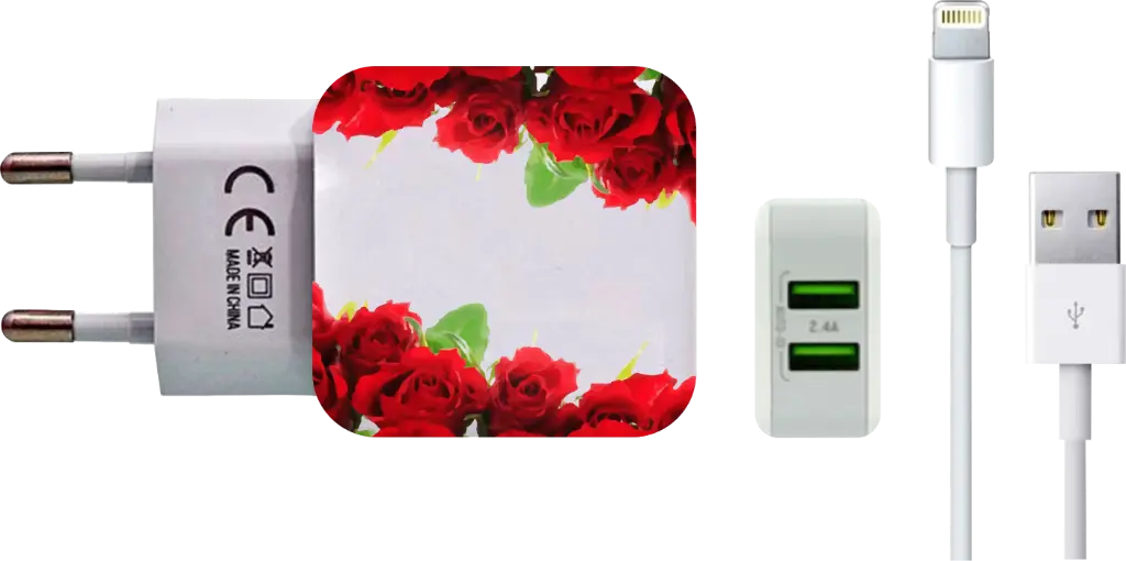 Carregador Molduras Rosas Vermelhas (Com Nome)