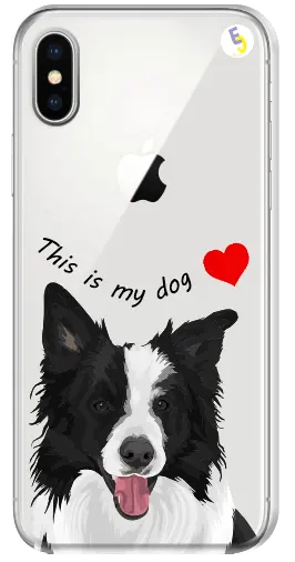 CAPINHA BORDER COLLIE