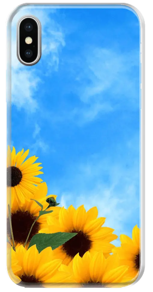 CAPINHA MEU GIRASSOL