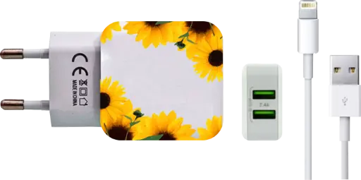 [carregador n001-1-1-1-1-1-1-1-1-1-1-1-1-1] Carregador Moldura Girassol (Com Nome)