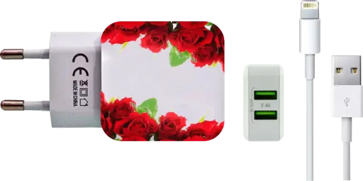 [carregador n001-1-1-1-1-1-1-1-1-1-1-1-1-1-1-1-1-1-1] Carregador Molduras Rosas Vermelhas (Com Nome)