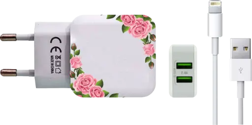 [carregador n001-1-1-1-1-1-1-1-1-1-1-1-1-1-1-1-1-1-1-1] Carregador Molduras Rosas (Com Nome)