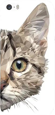 [Oke-1-1-1-1-1-1-1-1-1-1-1] CAPINHA GATO